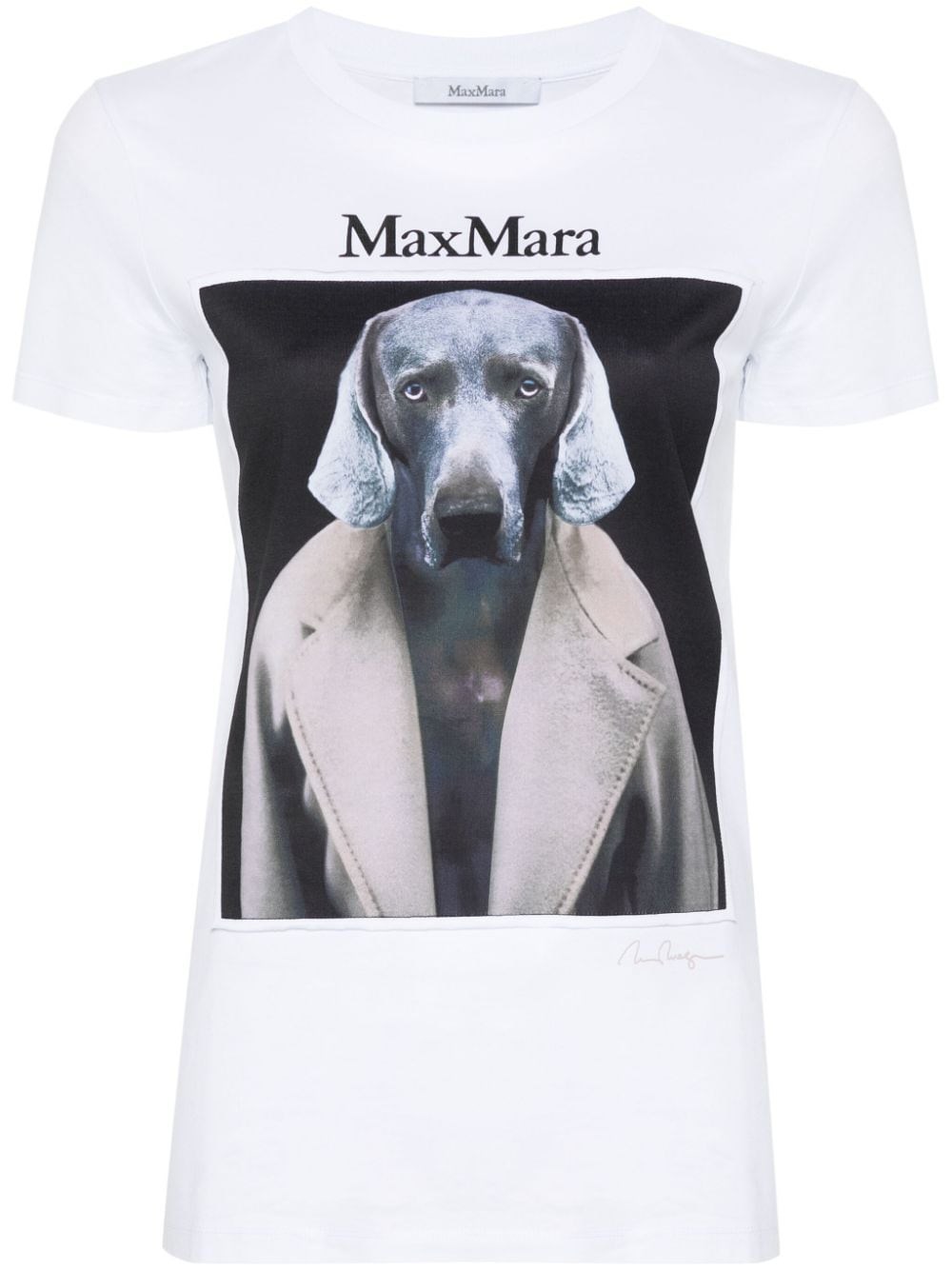 Shop Max Mara Cotton Jersey T-shirt In Pink