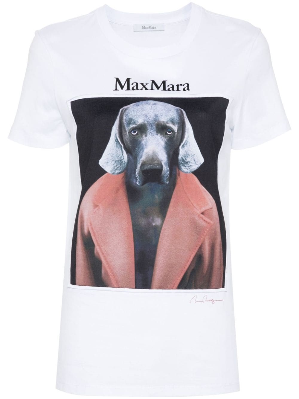 Shop Max Mara Cotton Jersey T-shirt In Pink