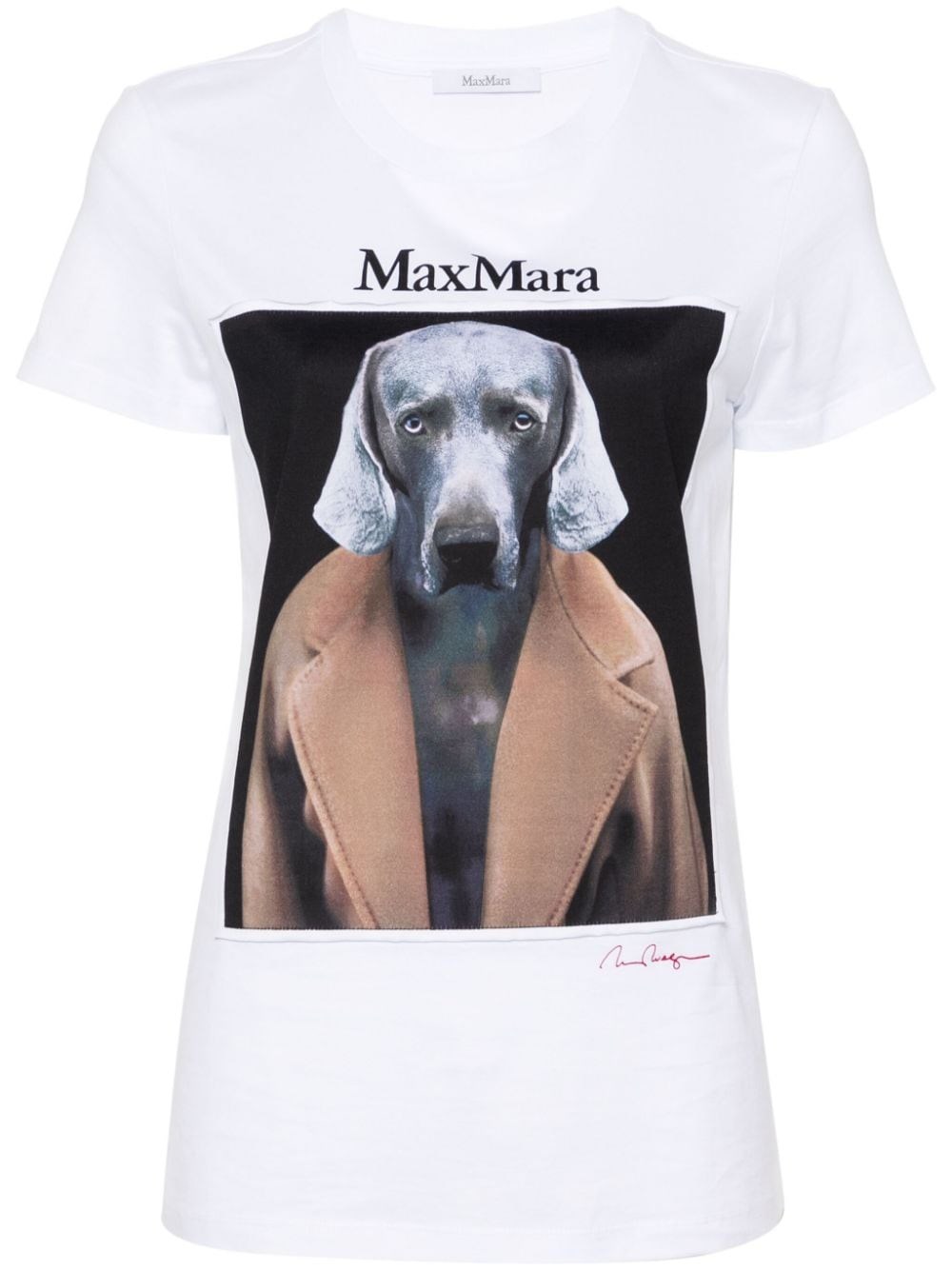 Max Mara Cotton Jersey T-shirt In Black