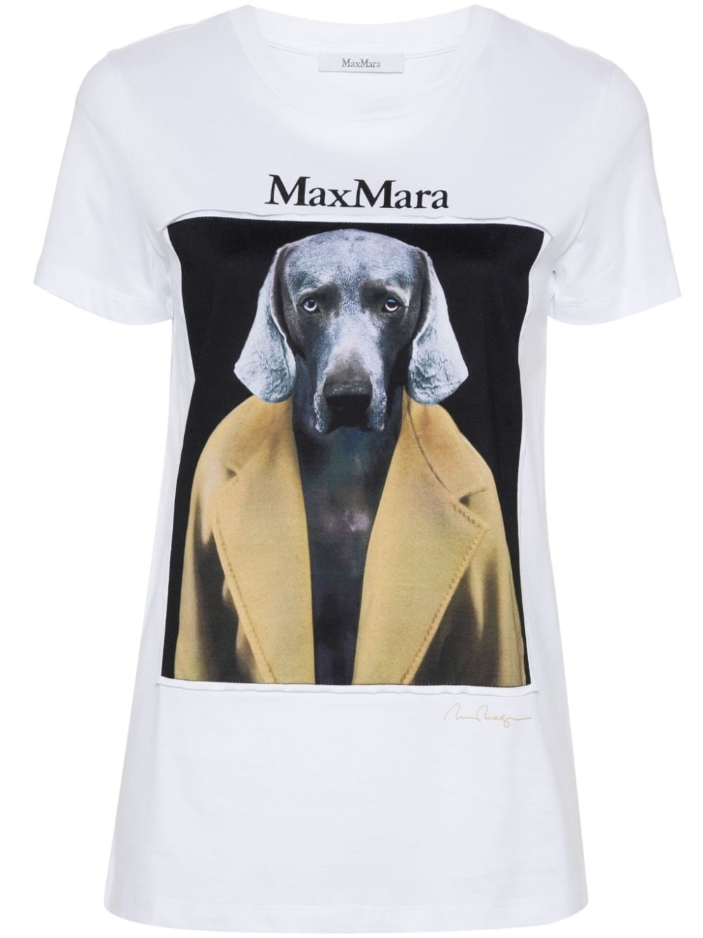 Shop Max Mara Cotton Jersey T-shirt In Brown