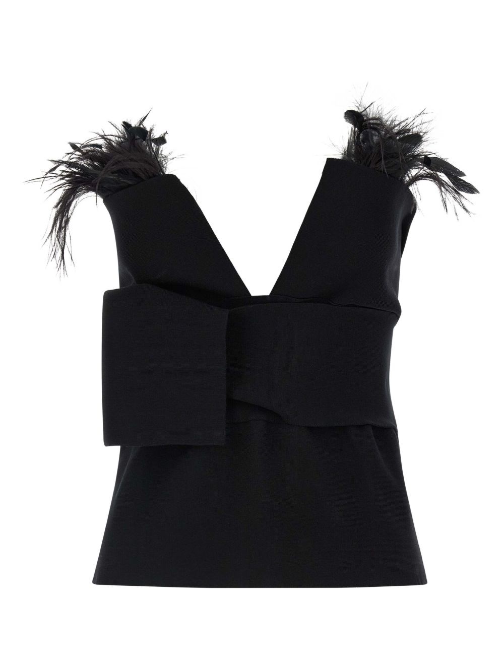 Alberta Ferretti Top With Feathers In Black