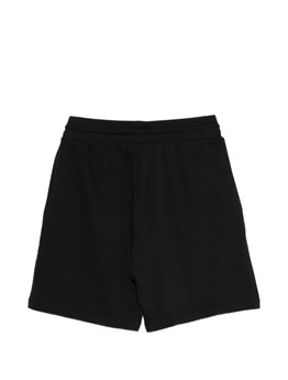 THE NORTH FACE - BERMUDA LOGO